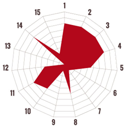 Di Giampaolo Espresso Maestrale - Espresso Italiano